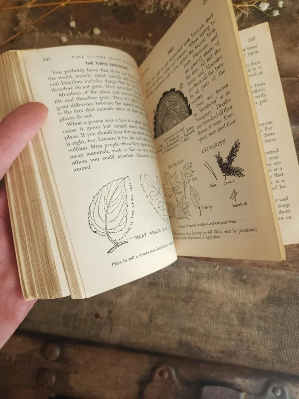 Vintage 1950s Book, 